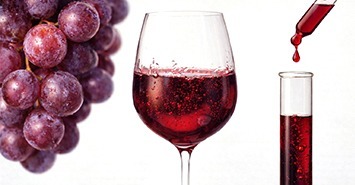 不醉之選|2026無酒精紅酒推薦|德國原裝進口|2026馬年禮盒推薦|0.0%|孕婦|開車族應酬的優雅首選